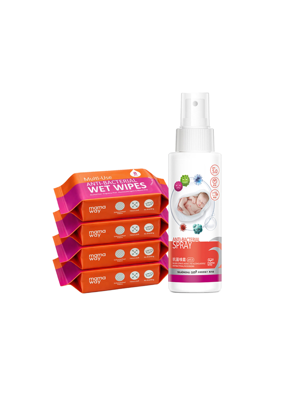 Anti-bacterial Spray (100ml) & Wet Wipescarry-on bag